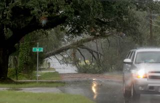 Sturmschäden an Bäumen und beschädigte Straßen in Florida.
