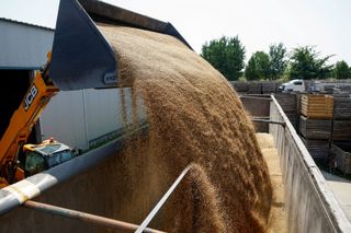 Auf einem ukrainischen Bauernhof wird Weizen auf einen Lastwagen verladen. Im September konnte das Land nur noch 1,4 Millionen Tonnen Getreide exportieren.