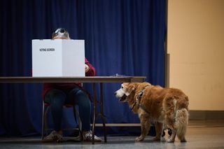 A voter's dog waits alongside them as they vote in Toronto's municipal election at a polling station in Toronto, on Monday, Oct. 26, 2026.