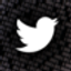 Twitter Data