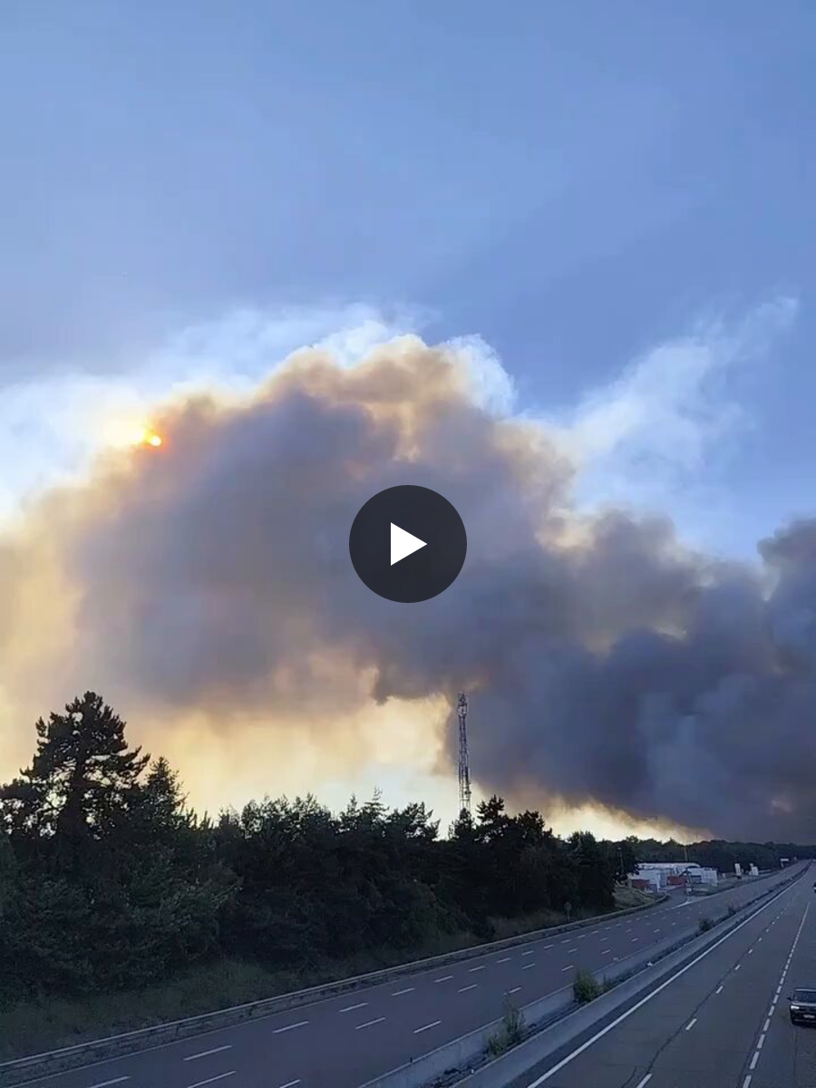 LIVE. Videobeelden tonen omvang van zware brand in iconisch woud van  Fontainebleau nabij Parijs: “Nog nooit zoiets gezien in deze regio” |  Nieuwsblad