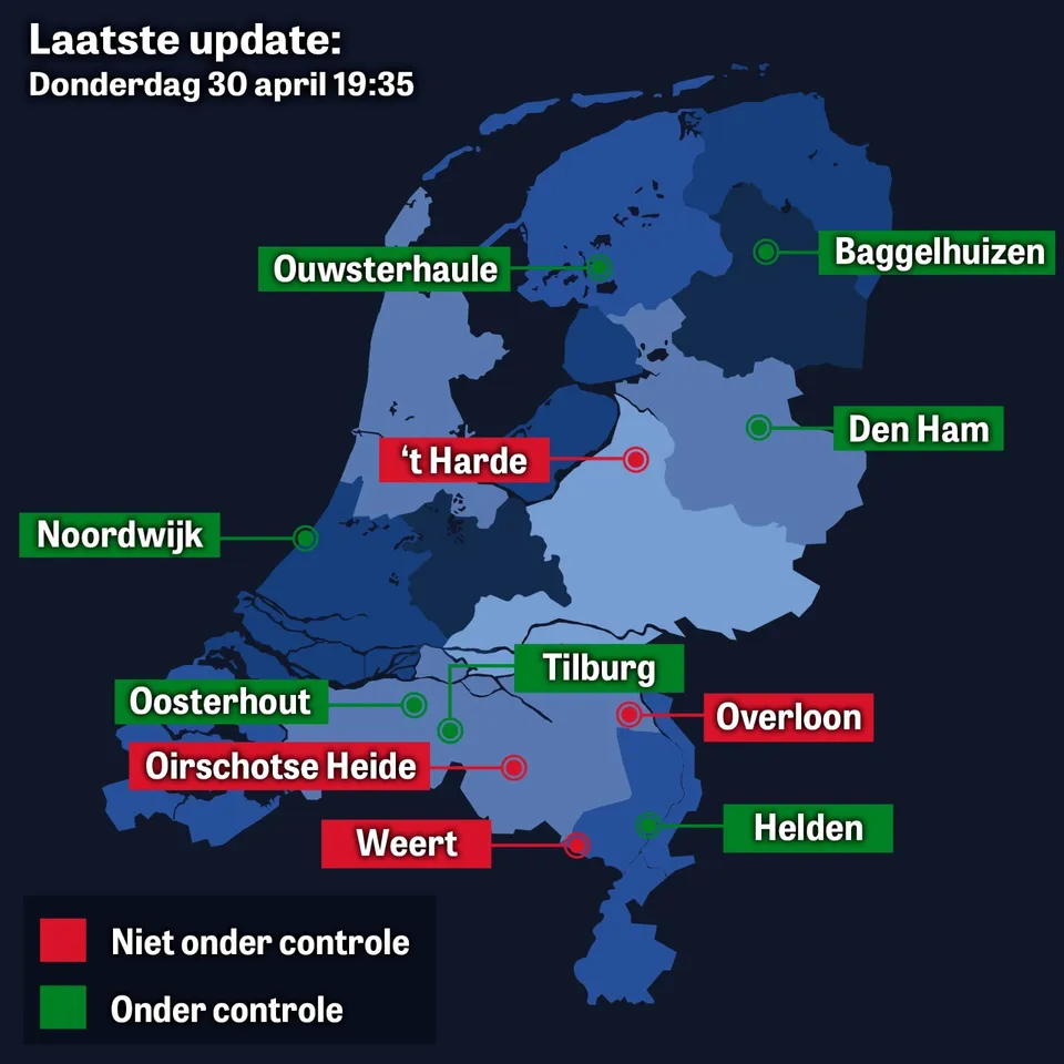 forumillustratie