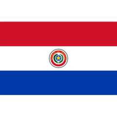 Paraguay Logo
